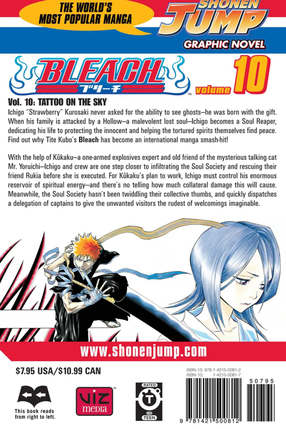 BLEACH Manga Volume 10