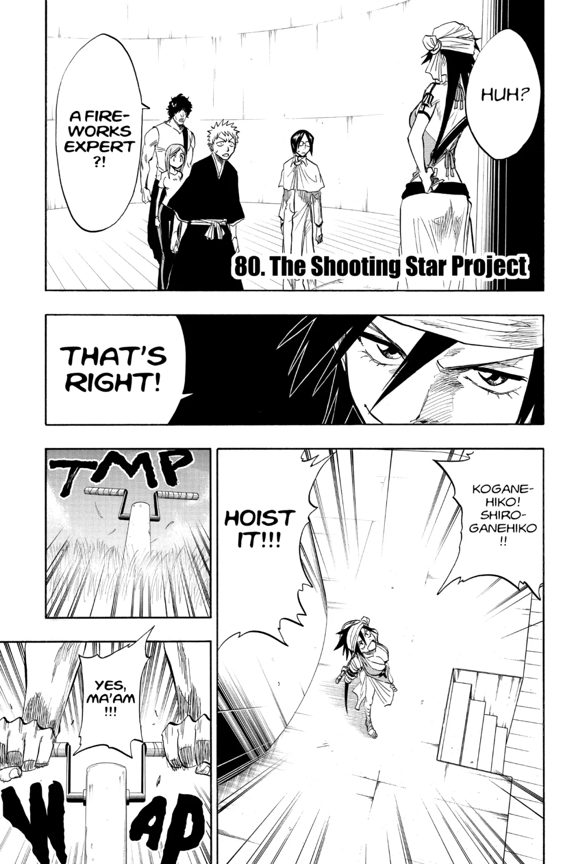 BLEACH Manga Volume 10