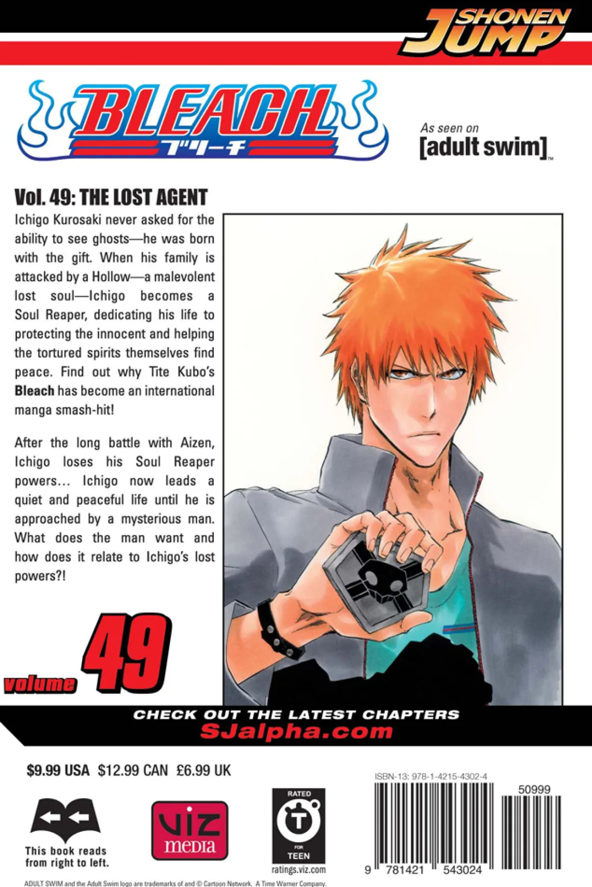BLEACH Manga Volume 49