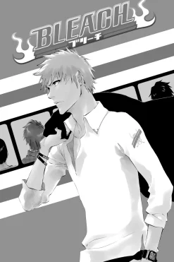 BLEACH Manga Volume 49