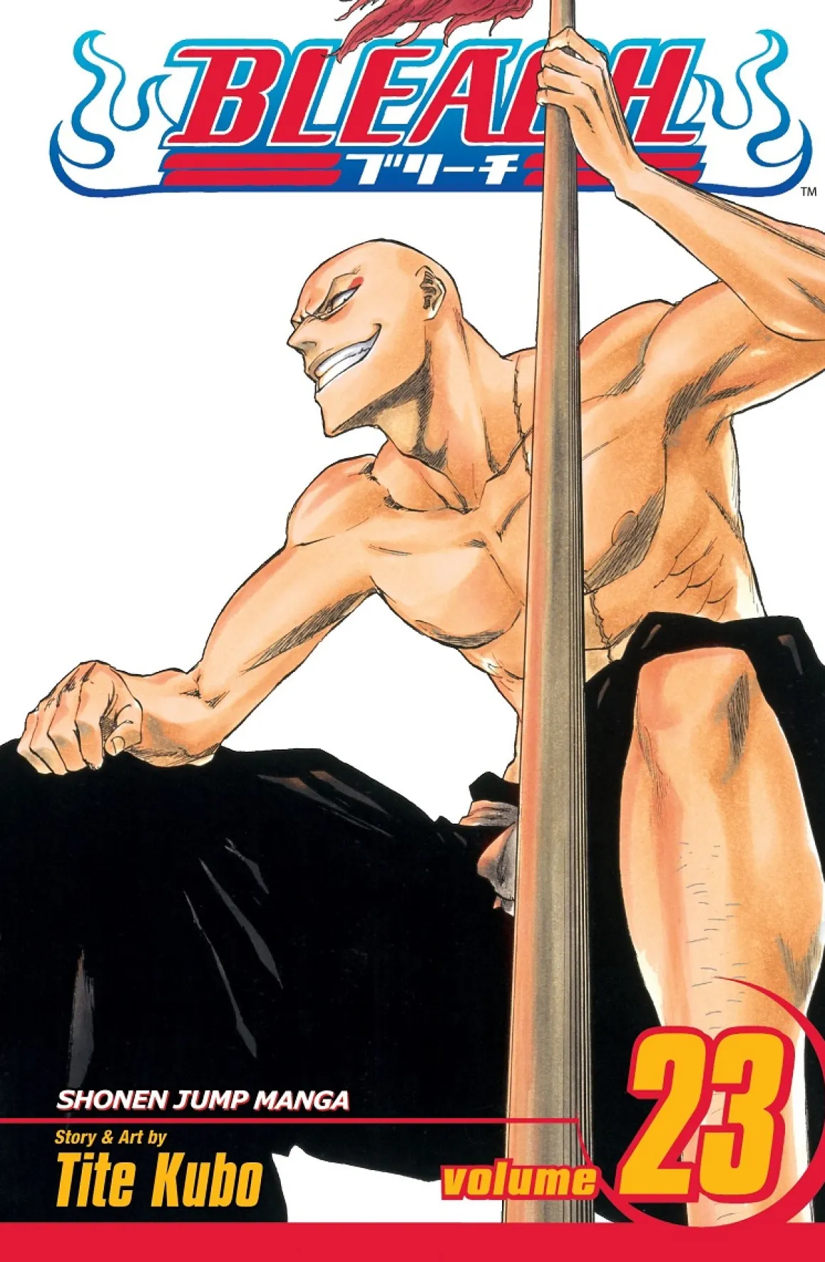 BLEACH Manga Volume 23