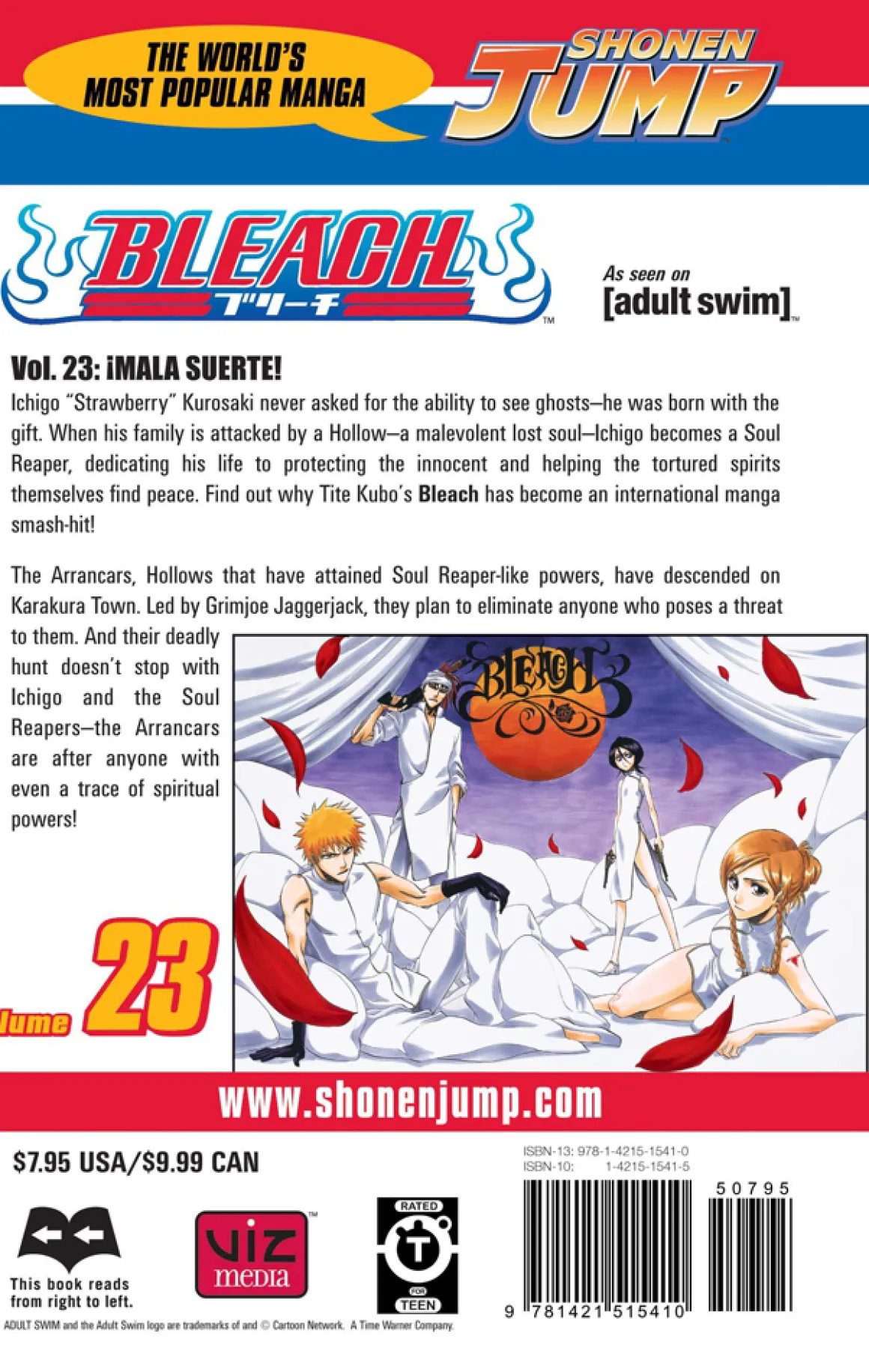 BLEACH Manga Volume 23