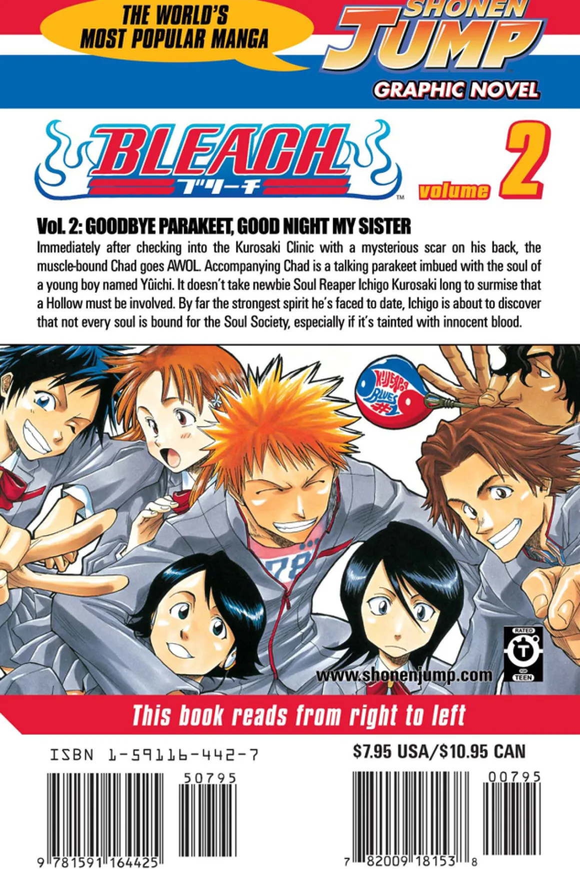 BLEACH Manga Volume 2