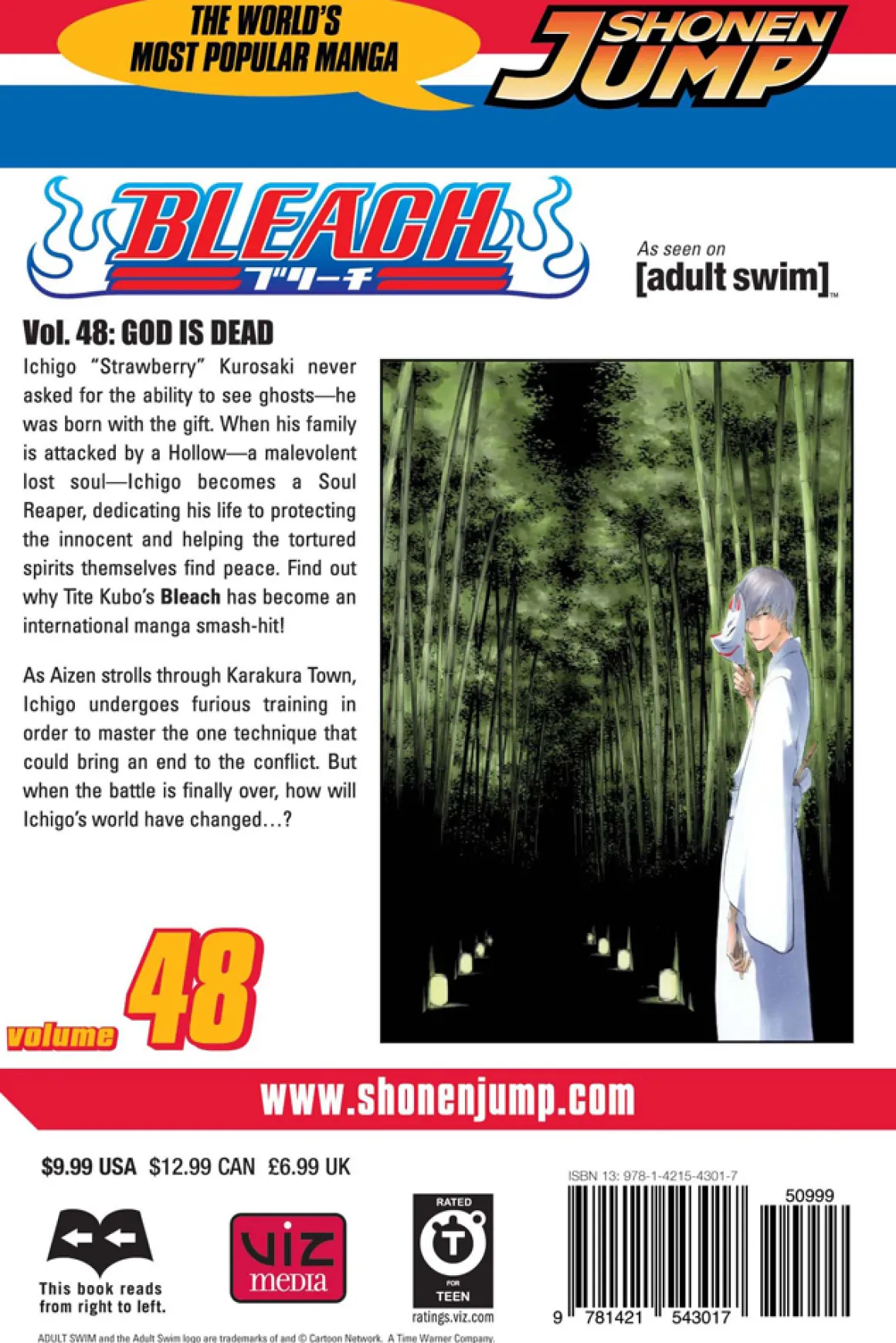 BLEACH Manga Volume 48