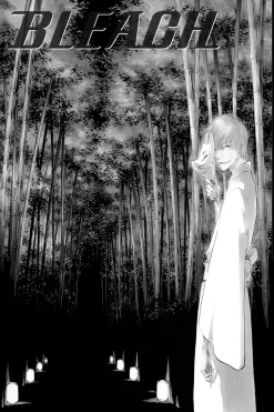 BLEACH Manga Volume 48