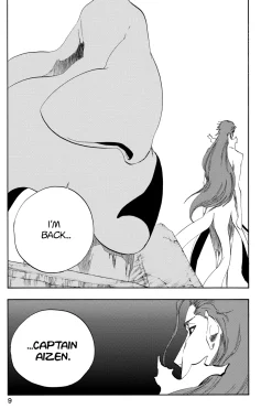 BLEACH Manga Volume 48