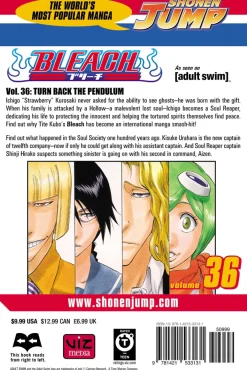 BLEACH Manga Volume 36