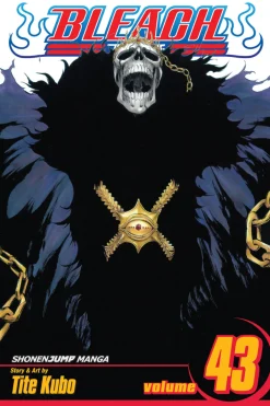 BLEACH Manga Volume 43