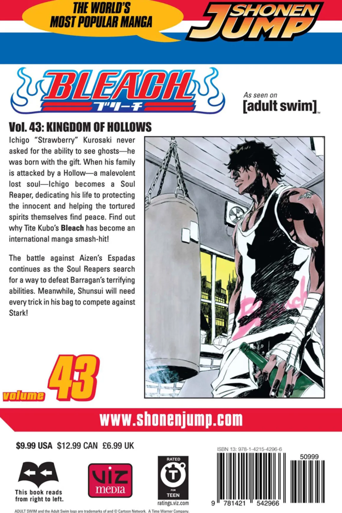 BLEACH Manga Volume 43