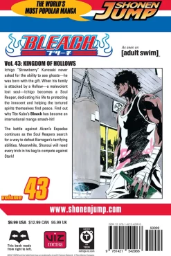 BLEACH Manga Volume 43
