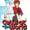 Cells at Work! Manga Omnibus Volume 1
