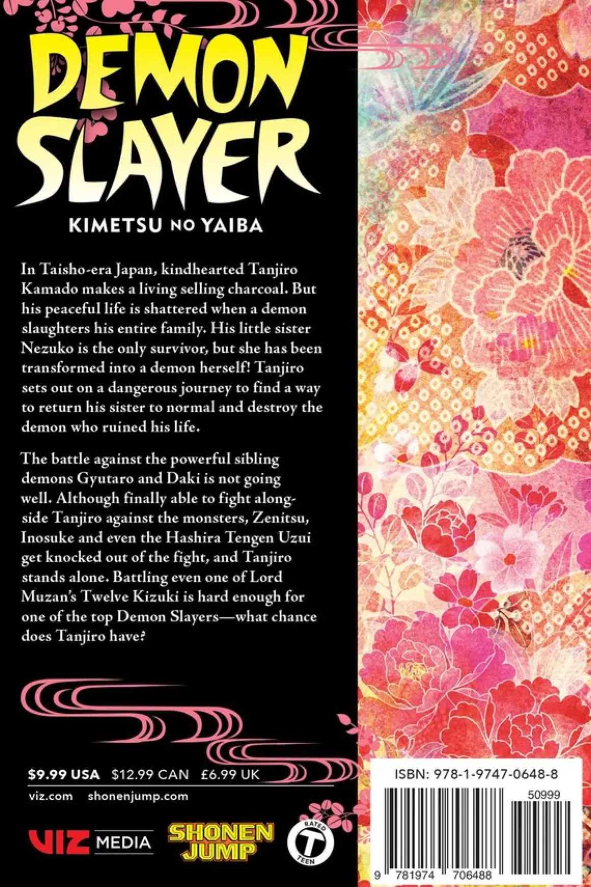 Demon Slayer: Kimetsu no Yaiba Manga Volume 11