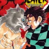 Demon Slayer: Kimetsu no Yaiba Manga Volume 4
