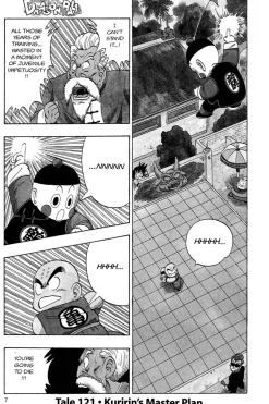 Dragon Ball Manga Volume 11 (2nd Ed)