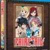 Fairy Tail - Collection 1 - Blu-ray + DVD