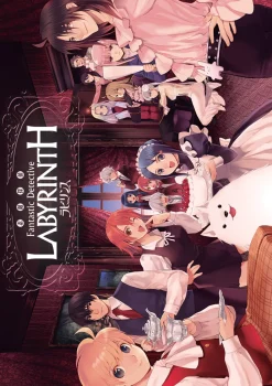 Fantastic Detective Labyrinth - DVD