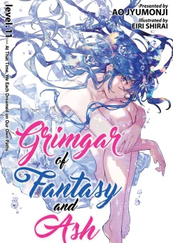Grimgar of Fantasy and Ash Novel Volume 11