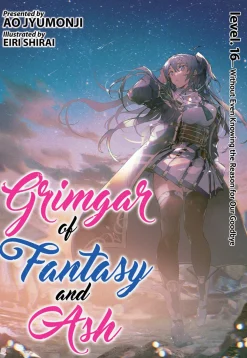 Grimgar of Fantasy and Ash Novel Volume 16