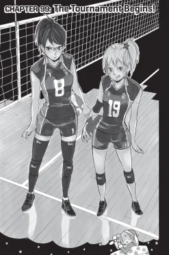Haikyu!! Manga Volume 12