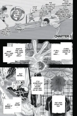 Haikyu!! Manga Volume 1