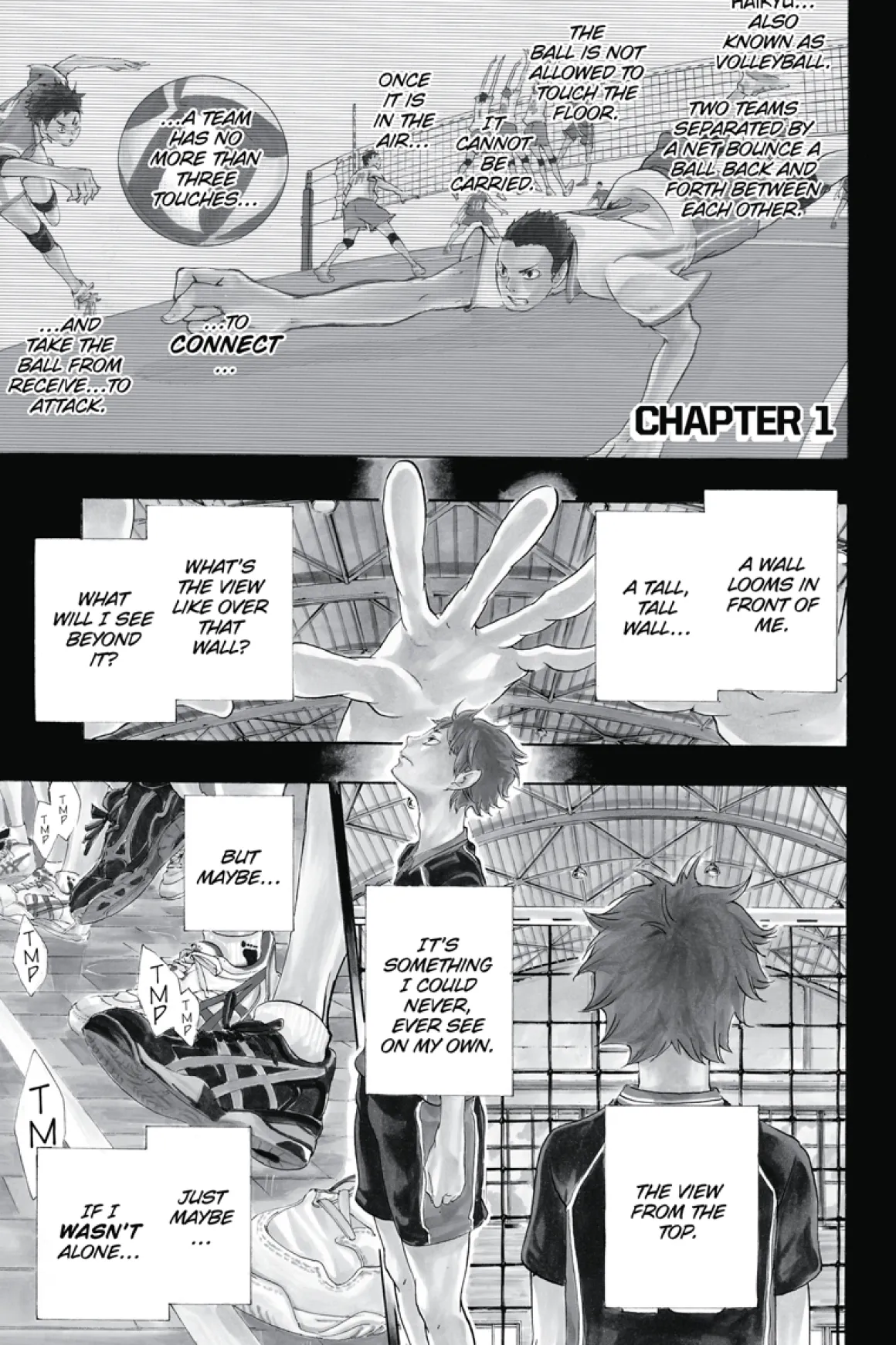 Haikyu!! Manga Volume 1