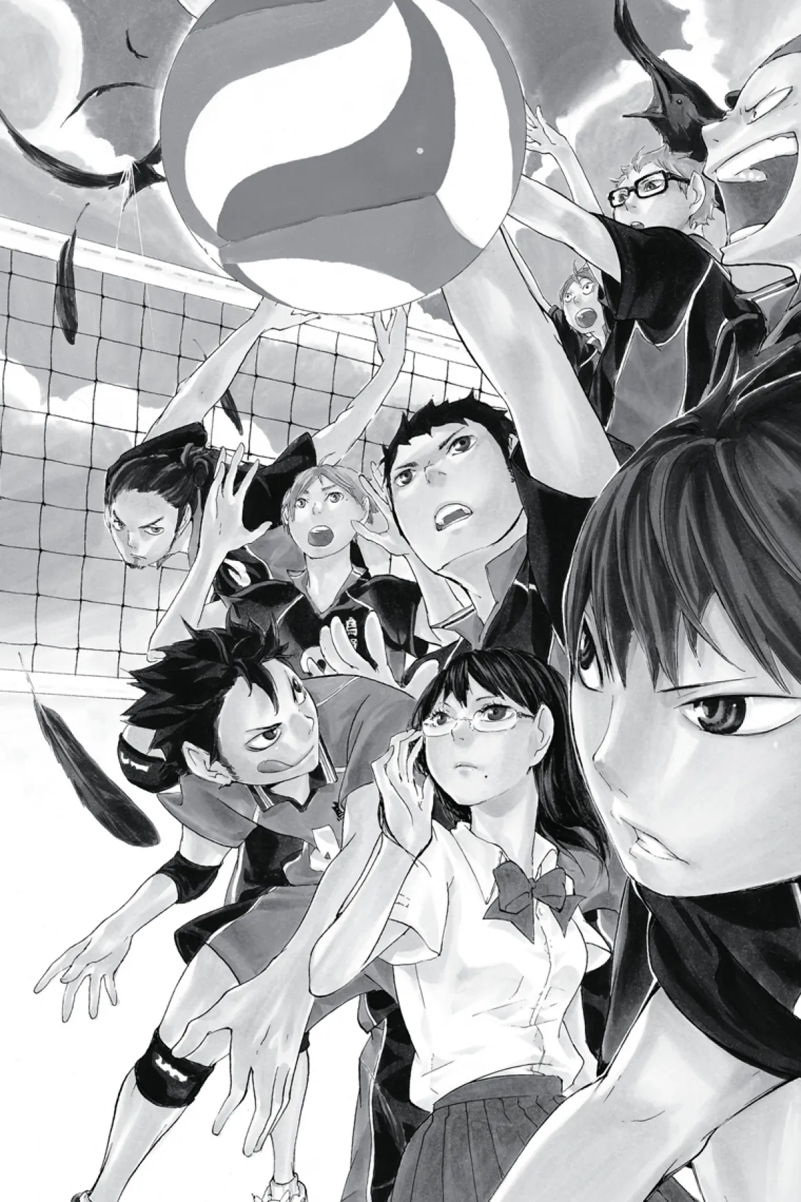 Haikyu!! Manga Volume 1