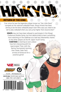 Haikyu!! Manga Volume 25