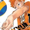 Haikyu!! Manga Volume 33