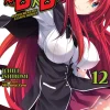 High School DxD Novel Volume 12