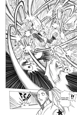 Hunter X Hunter Manga Volume 21