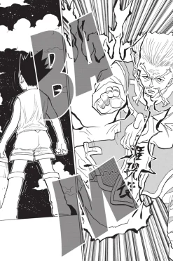 Hunter X Hunter Manga Volume 26