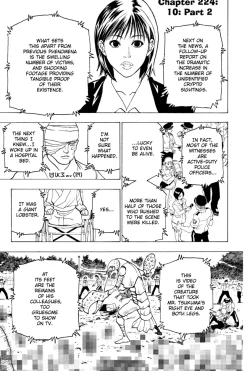 Hunter X Hunter Manga Volume 22