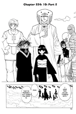 Hunter X Hunter Manga Volume 22