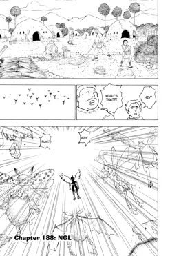 Hunter X Hunter Manga Volume 19