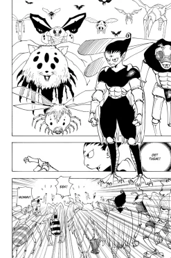 Hunter X Hunter Manga Volume 19