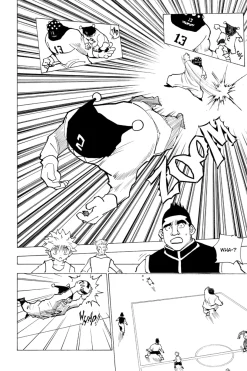 Hunter X Hunter Manga Volume 17
