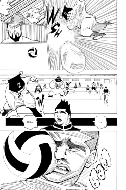 Hunter X Hunter Manga Volume 17