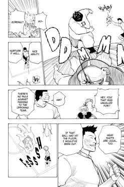 Hunter X Hunter Manga Volume 17