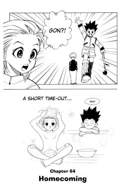 Hunter X Hunter Manga Volume 8