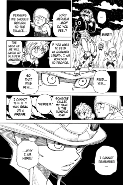 Hunter X Hunter Manga Volume 29