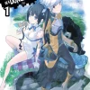 Is It Wrong to Try to Pick Up Girls in a Dungeon? Novel Volume 1