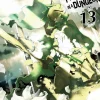 Is It Wrong to Try to Pick Up Girls in a Dungeon? Novel Volume 13