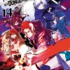 Is It Wrong to Try to Pick Up Girls in a Dungeon? Novel Volume 14