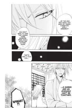 Kamisama Kiss Manga Volume 13