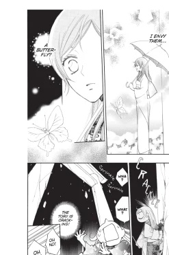 Kamisama Kiss Manga Volume 14