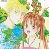 Kare Kano Graphic Novel 11 (His and Her Circumstances)