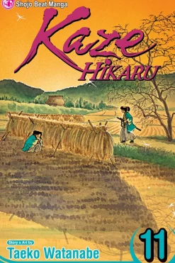 Kaze Hikaru Manga Volume 11
