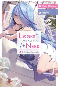 Looks Are All You Need Novel Volume 1
