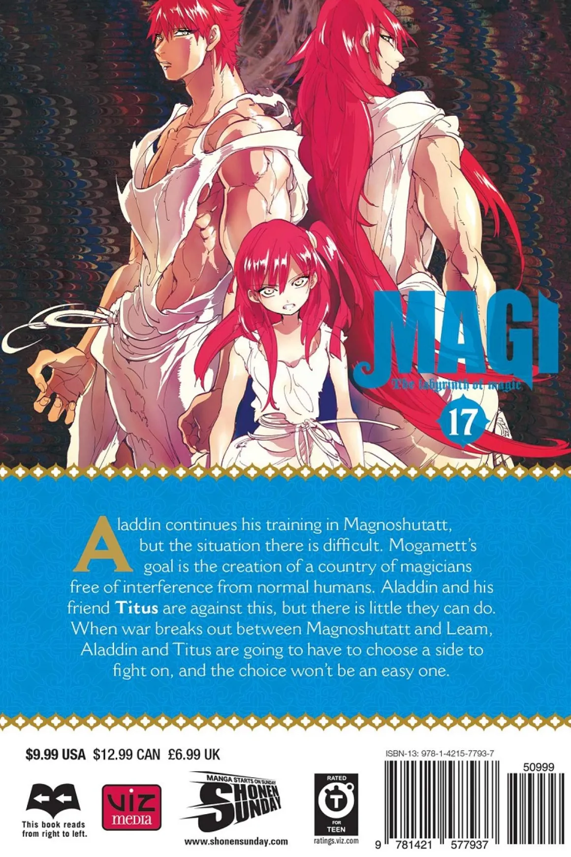 Magi Manga Volume 17