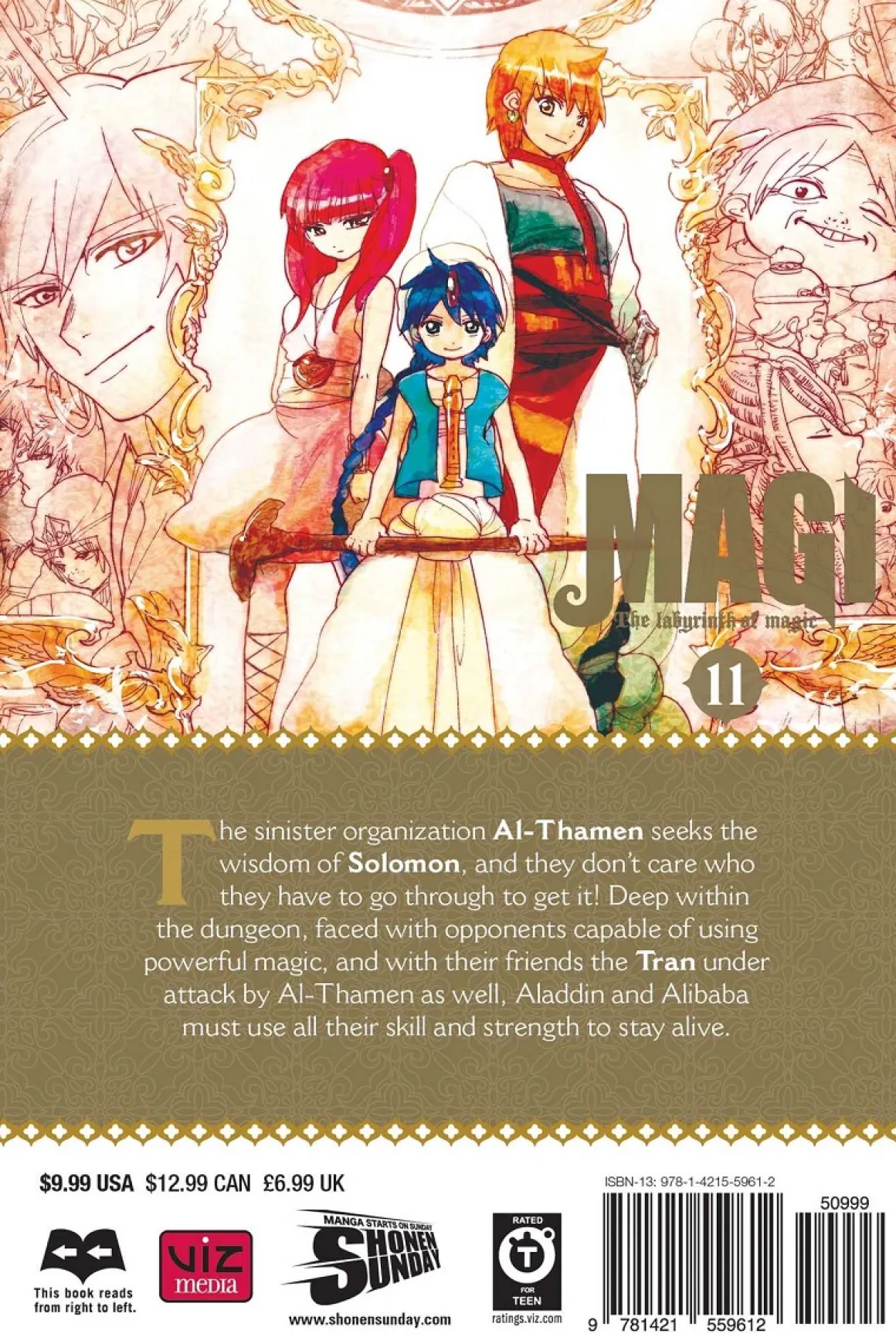 Magi Manga Volume 11